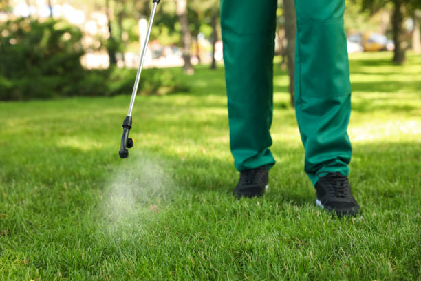 Best Ant Control Services  in Omro, WI