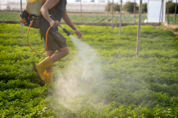 Best Pest Inspection Near Me  in Omro, WI