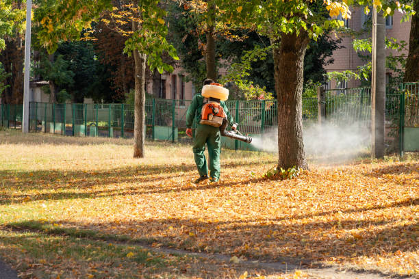 Best Termite Control Services  in Omro, WI