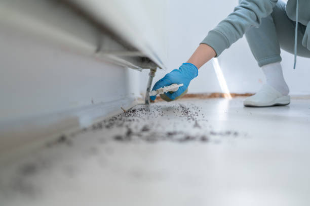 Best Best Pest Control Companies  in Omro, WI