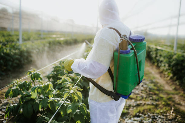 Best Wasp Removal Services  in Omro, WI